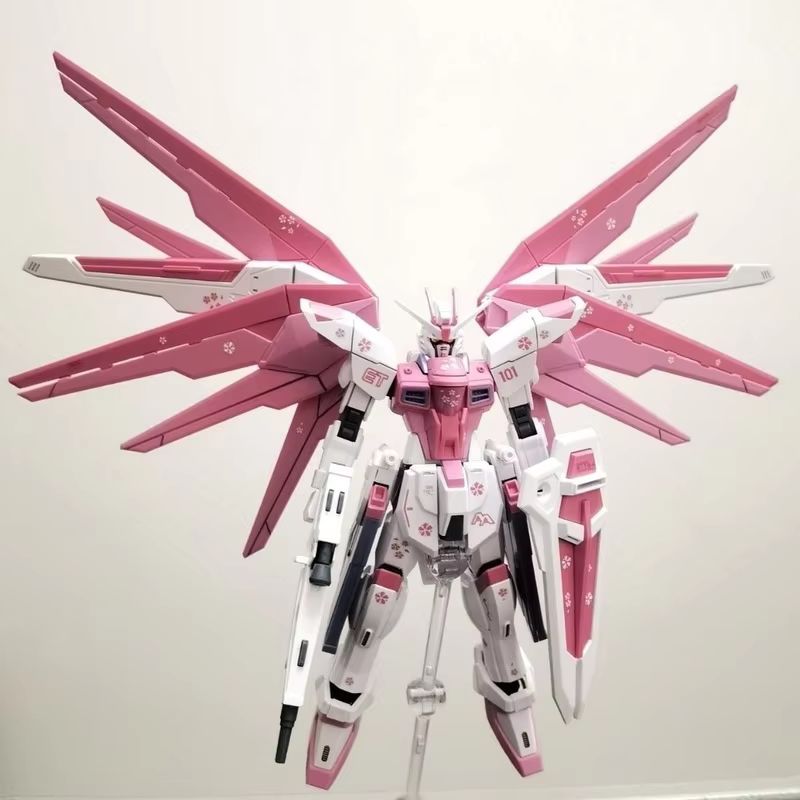 JMS HG 1/144 ZY-06 Özgürlük Sa - Bandai Gundam Rg incelemesi ve fiyatı
